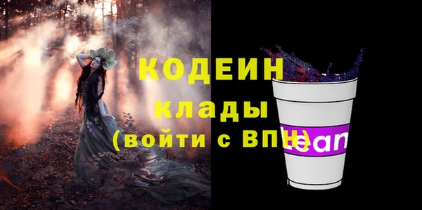 прущие грибы Заволжск
