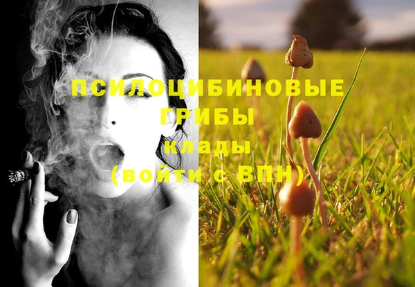 прущие грибы Заволжск