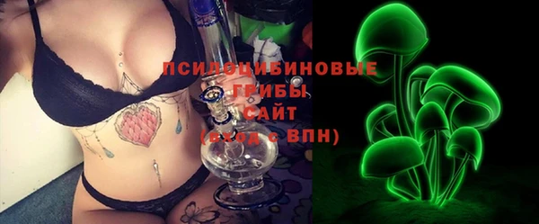 прущие грибы Заволжск