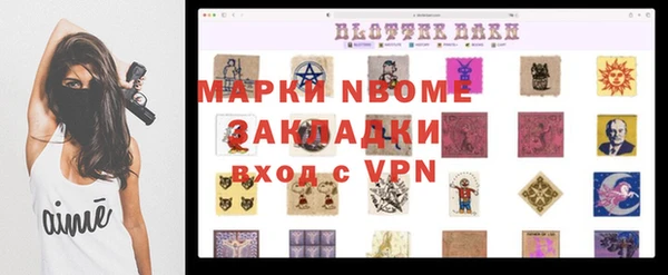 прущие грибы Заволжск