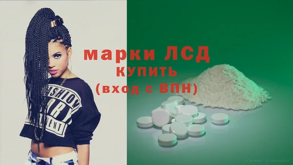 прущие грибы Заволжск