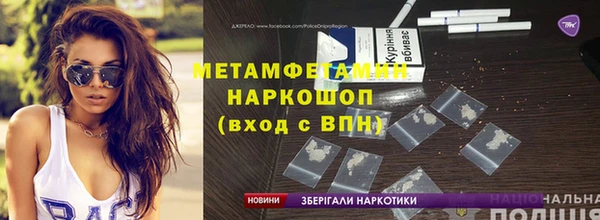 прущие грибы Заволжск