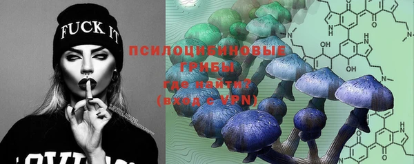 ПСИЛОЦИБИНОВЫЕ ГРИБЫ Зерноград