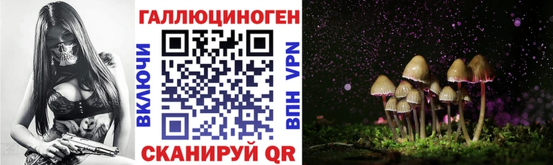 цена наркотик Чехов мега зеркало Галлюциногенные грибы GOLDEN TEACHER
